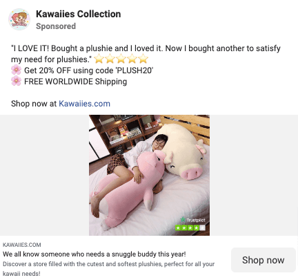 Dropshipping social ad example